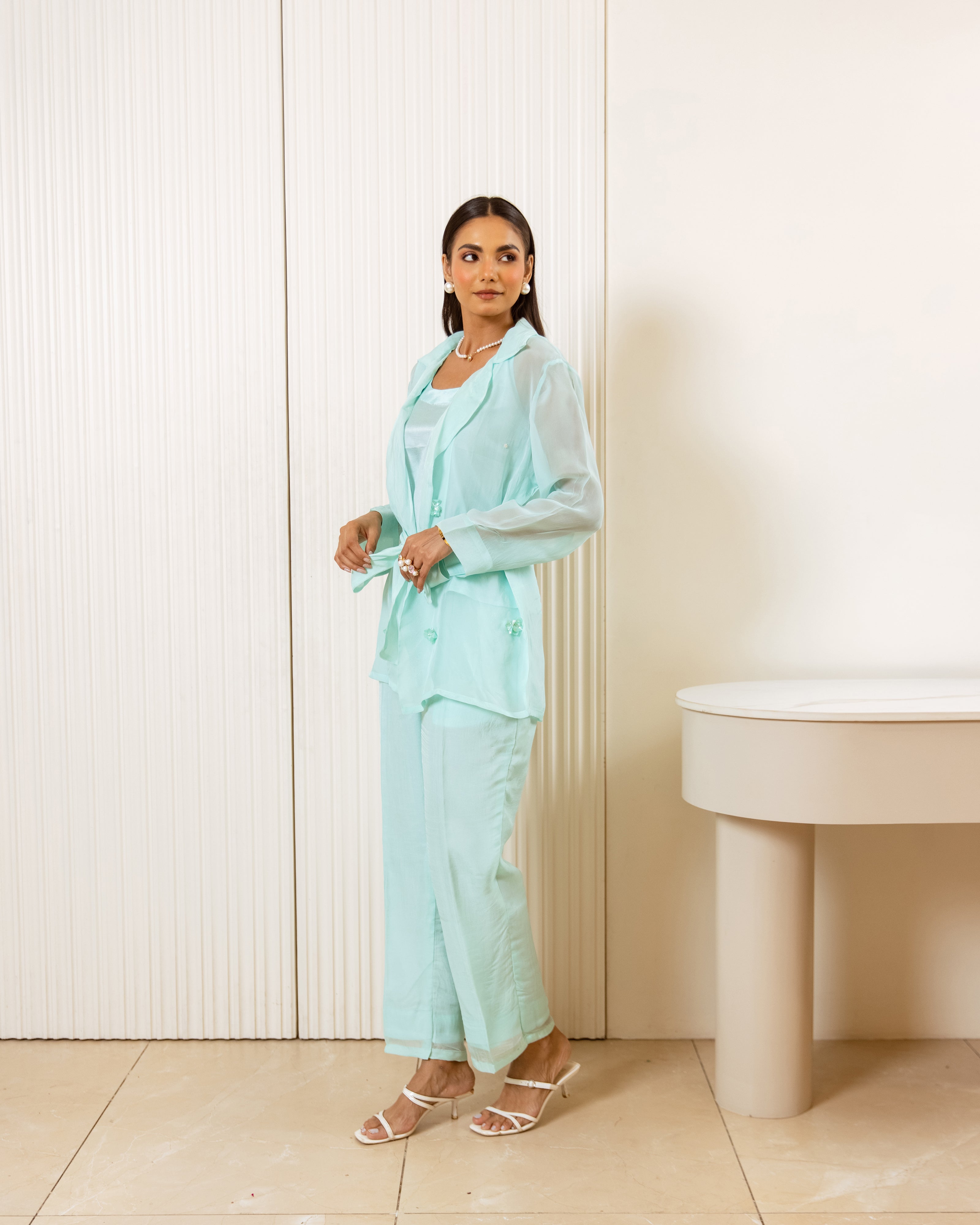 Organza Co Ord Set